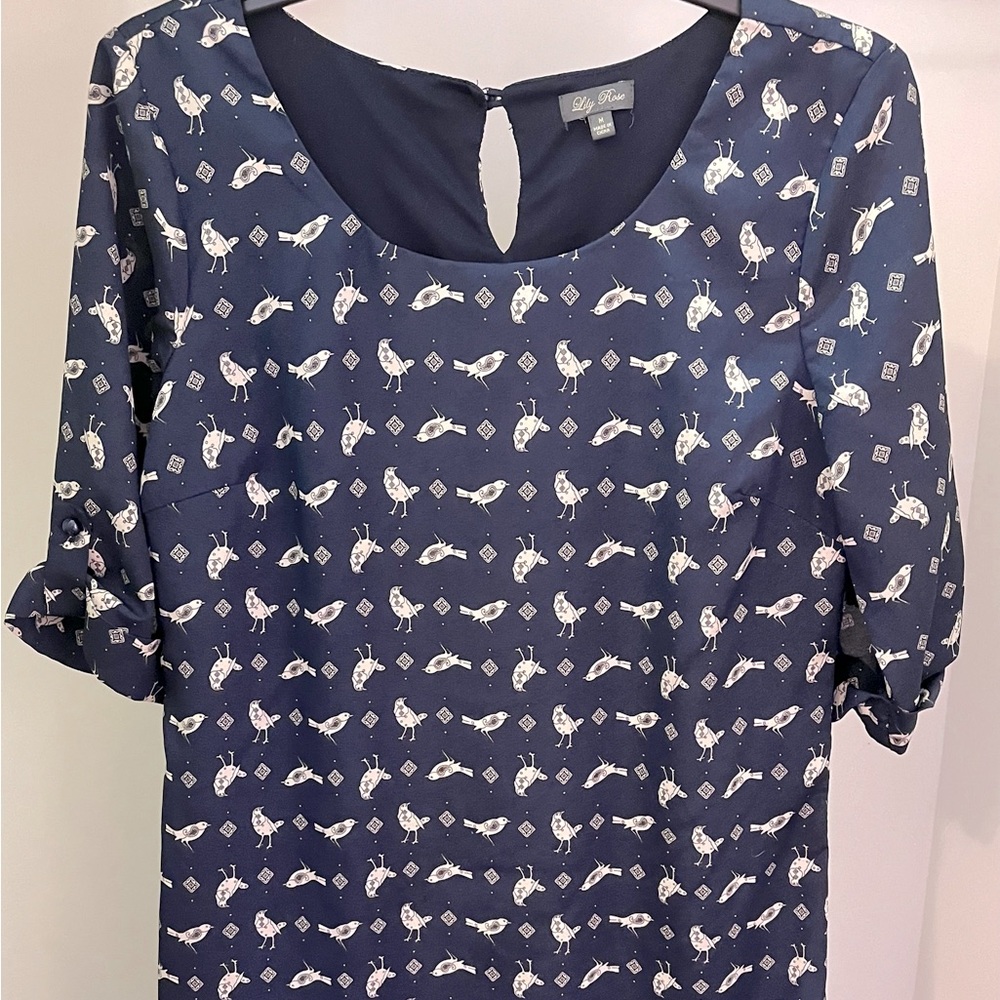 Lily Rose shift dress Size M